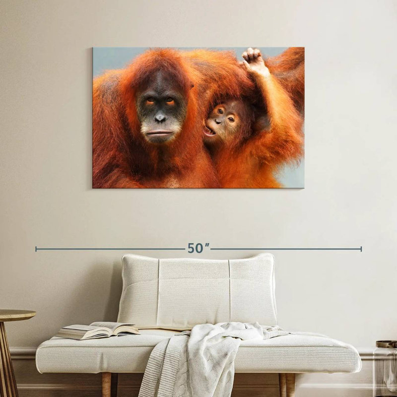 Sumatra Orangutans