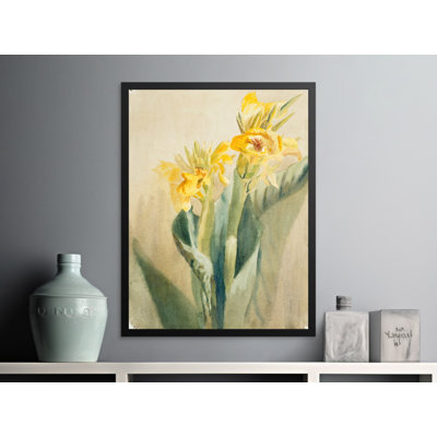 Tryphena No Frame Print
