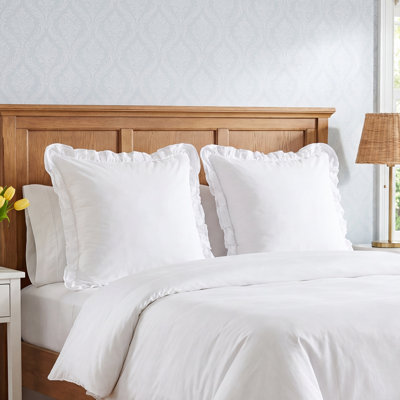 Bayless Cotton Shams