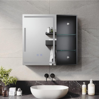 Danelle Medicine Cabinet Mirror Fixed