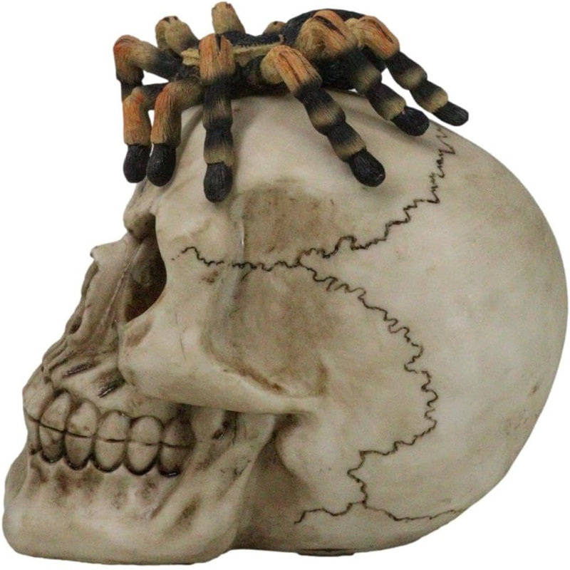 Figurine d'Halloween arachnide Tarantula