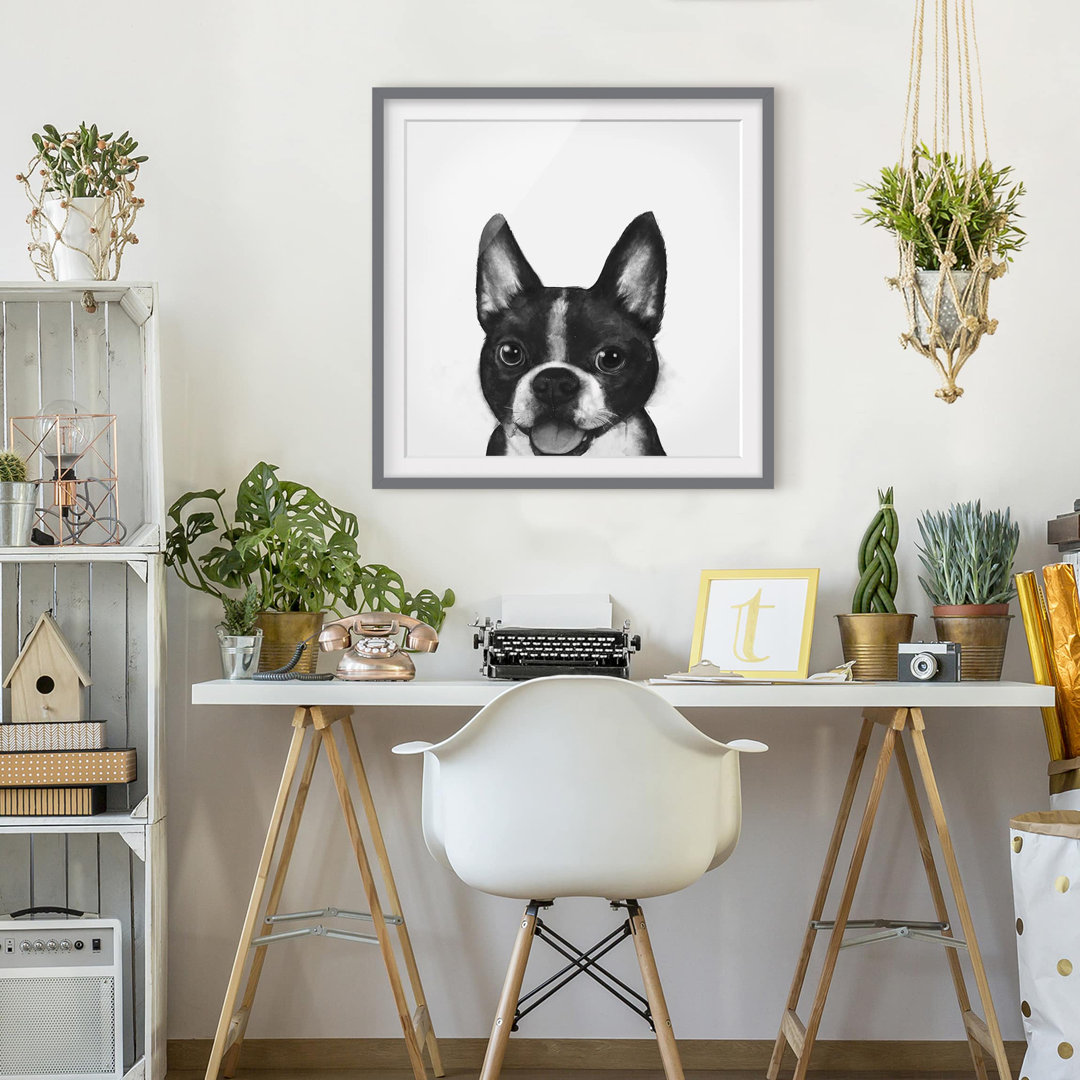 Gerahmtes Poster Illustration Hund Boston Schwarz Weiß