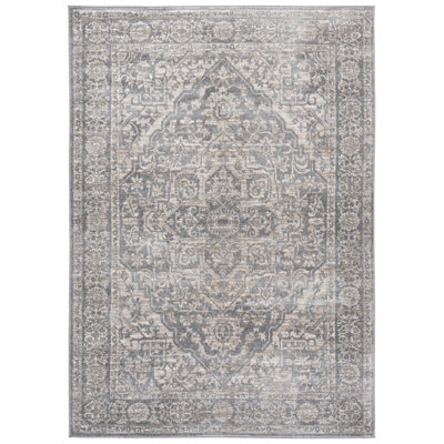 Oriental Light Gray/Ivory Area Rug