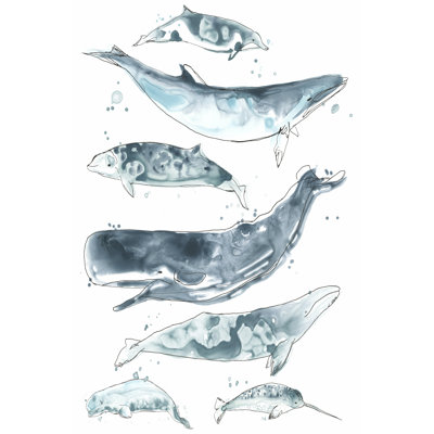 Cetacea II 1 Piece Wrapped Canvas Painting