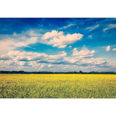 Champ de canola jaune avec des nuages de ciel bleu