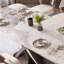 Michaelis-1896464882