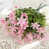 Rose est en rupture de stock