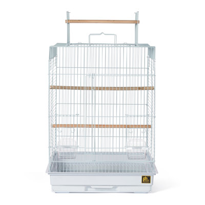 Cage à oiseaux avec perchoir avec plateau de jeu 24 po Chuhay