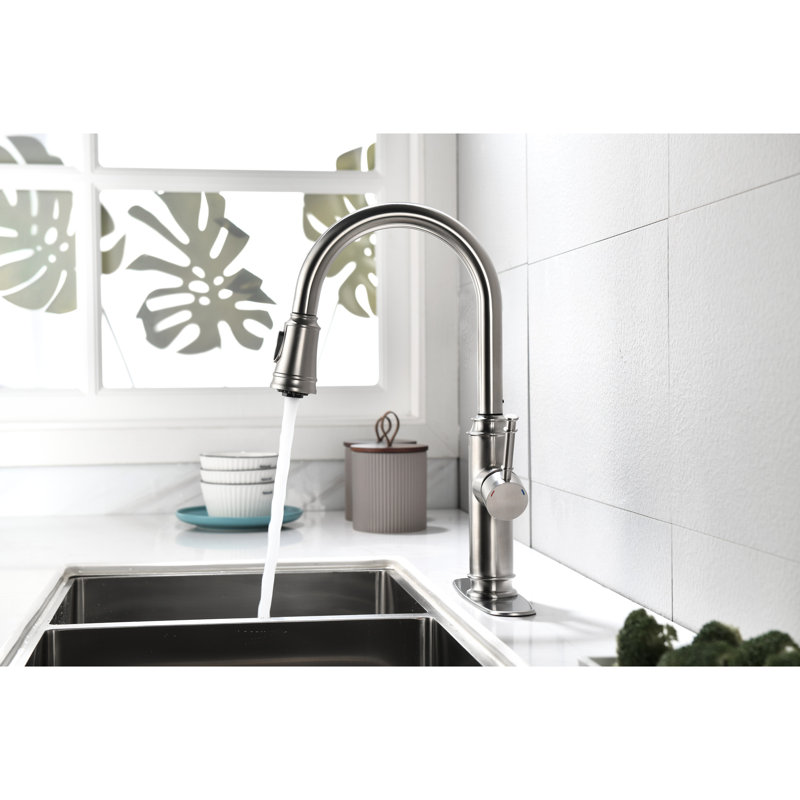 Robinet de cuisine rétractable en acier inoxydable, avec robinet en nickel brossé à débit de corrosion et de débit, deux options d'eau disponibles