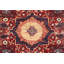 Aryana Wool Oriental Area Rug
