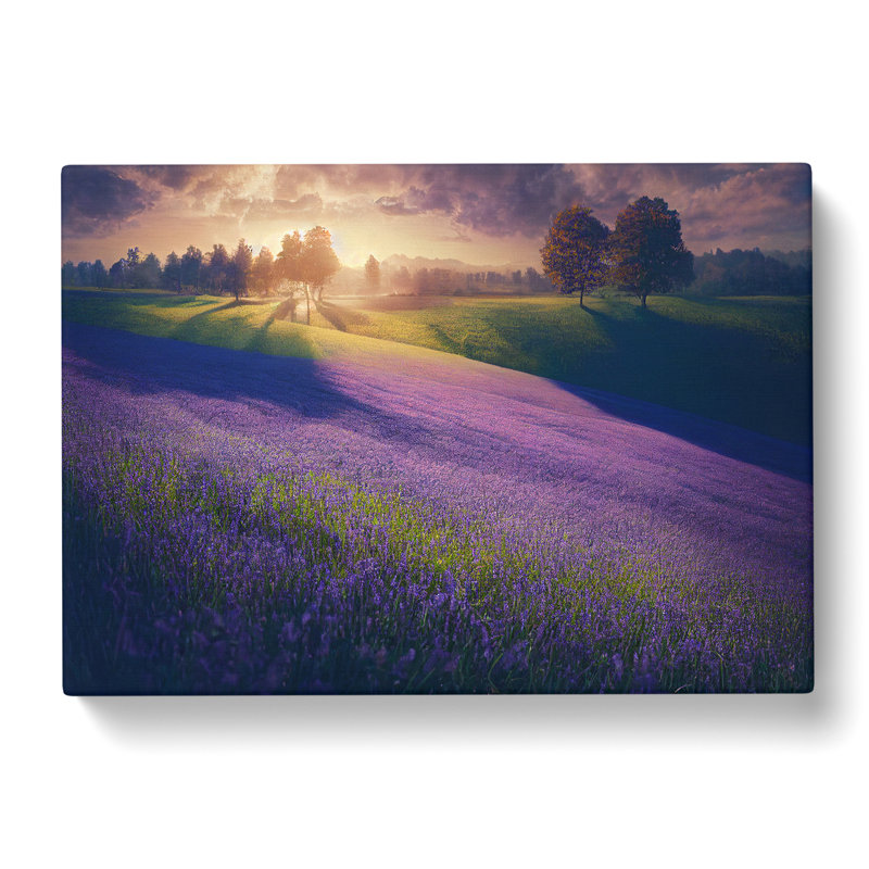 Majestic Bluebell Field - Wrapped Canvas Print, 40cm H x 60cm W x 3cm D