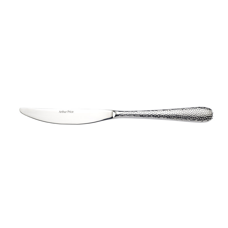 The Avalon Collection Stainless Steel Dinner Knife