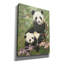 «Panda Paradise» par William Vanderdasson-623676066