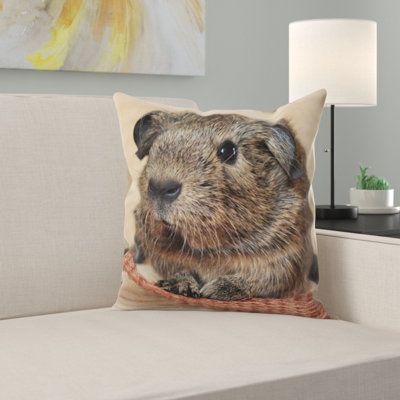 Guinea Pig Square Pillow Cover & Insert