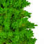 Flocked Lime Fir Artificial Fir Christmas Tree-461149922