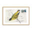Courrier avec ailes, ensemble de 2 impressions-558502958-558502948-558502951
