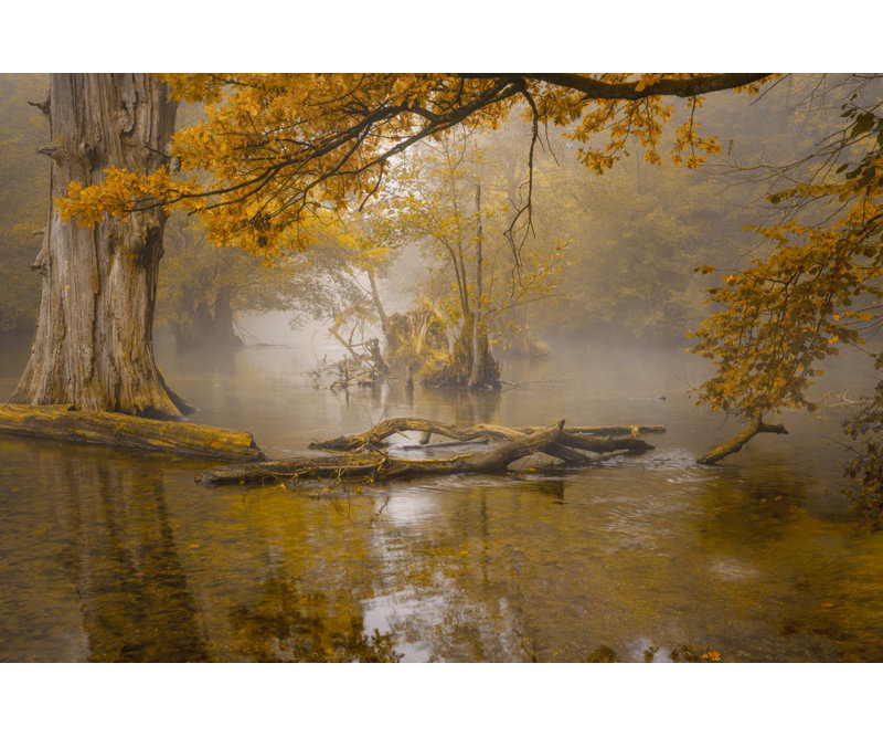 Wrapped Canvas Print, 60.96 cm H x 91.44 cm W