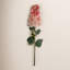 Tige d'Hortensia Milnor-257838434
