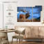 Majestic bull wapiti-107950549