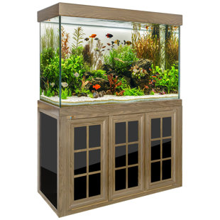235 Gallon Rectangle Aquarium Tank