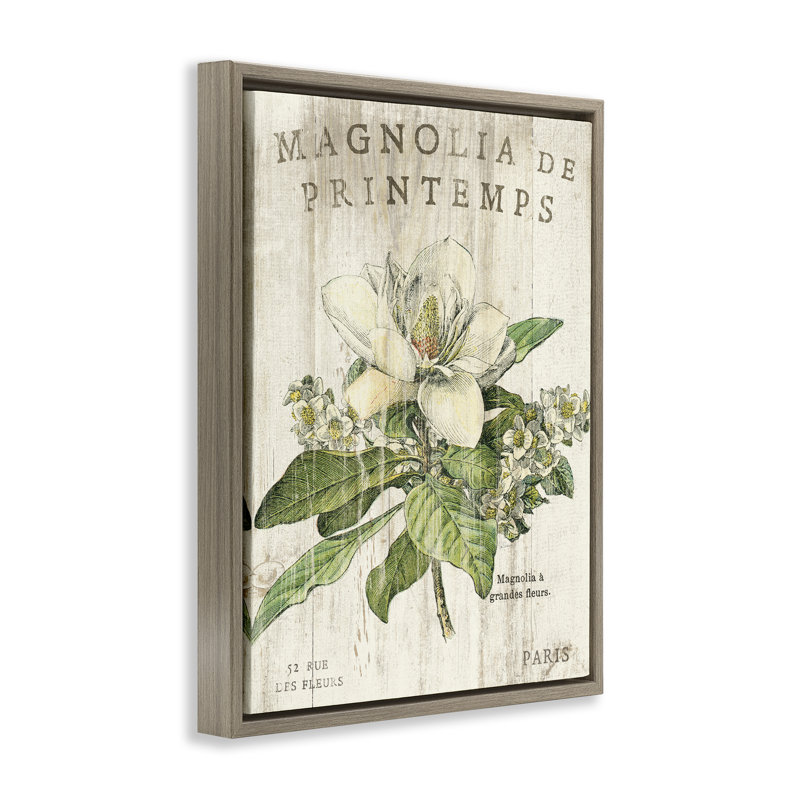 «French Magnolias in Spring Brown Grain», art mural sur toile flottante par Sue Schlabach, H 31 po x l 25 po