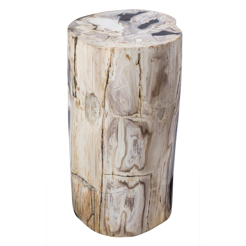 Table de bout Fossil Relics