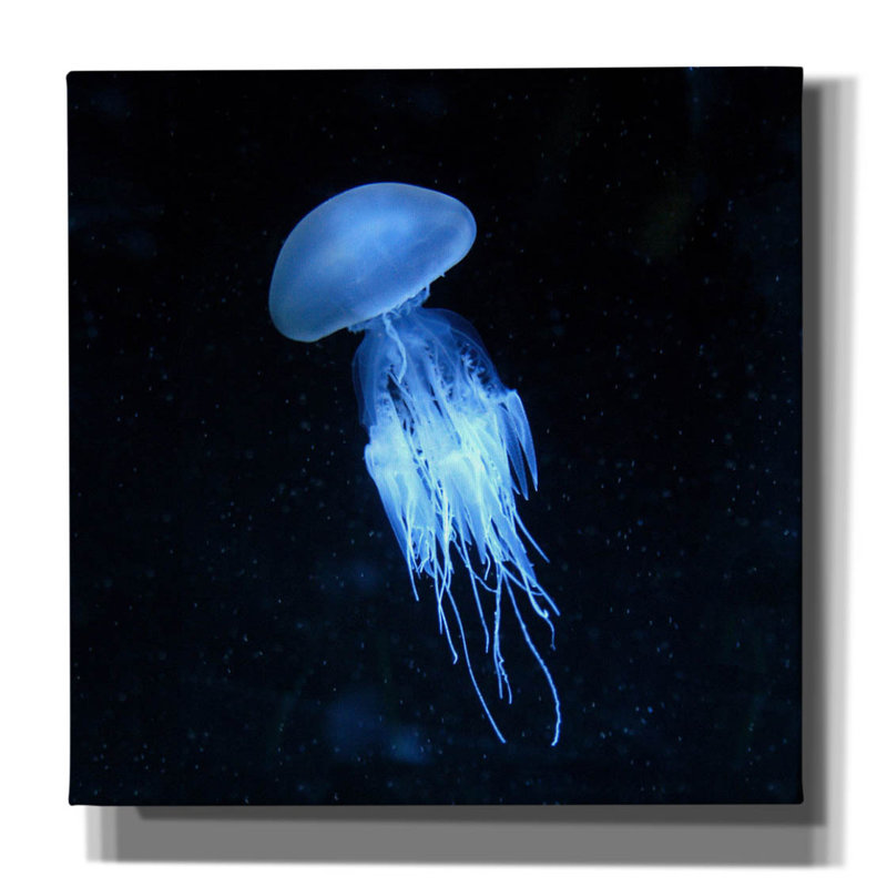 «Luminescent Jellyfish» par PhotoINC Studio, H 12 po x l 12 po