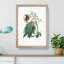 European Horse-chestnut Tree Illustration - Picture Frame Painting Print-55535996-55535997