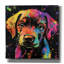  «Wouf Labrador Retriever» par Rich Monet, art mural sur toile, 12 po x 12 po-1214755227
