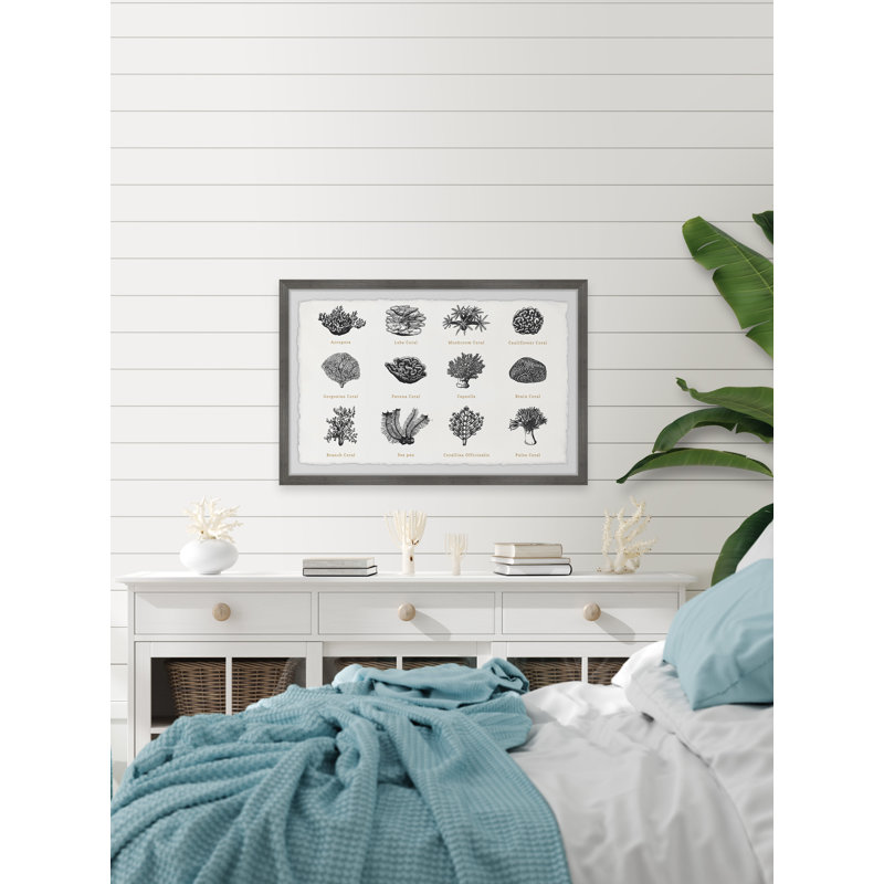 Coral Collection - Single Picture Frame Print, 41cm H x 61cm W x 3.81cm D