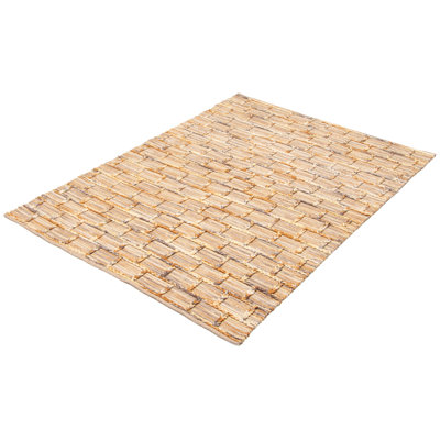 Iagulli Performance Hand Braided Wool Rug