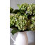Hortensia double bleu 91 cm-509150671
