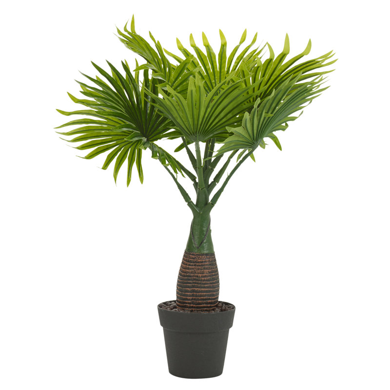 40cm Palm Plant in Pot