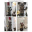 Modern Resin Bear Floor Decor with Tray and Moon Light Home Statue