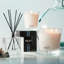Ocean Mist & Sea Salt Classic Candle-912423658-912423653