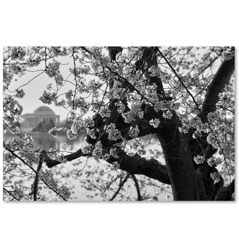«Blossoms BW» par Caliel, reproduction de photo sur toile tendue, H 12 po x l 19 po x P 2 po