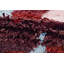 Wool Area Rug in Red