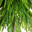 4Ft. Artificial Real Touch Down Swept Norfolk Pine Tree With Natural Look-17036511