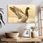 Canard colvert majestueux Brampt-107845165