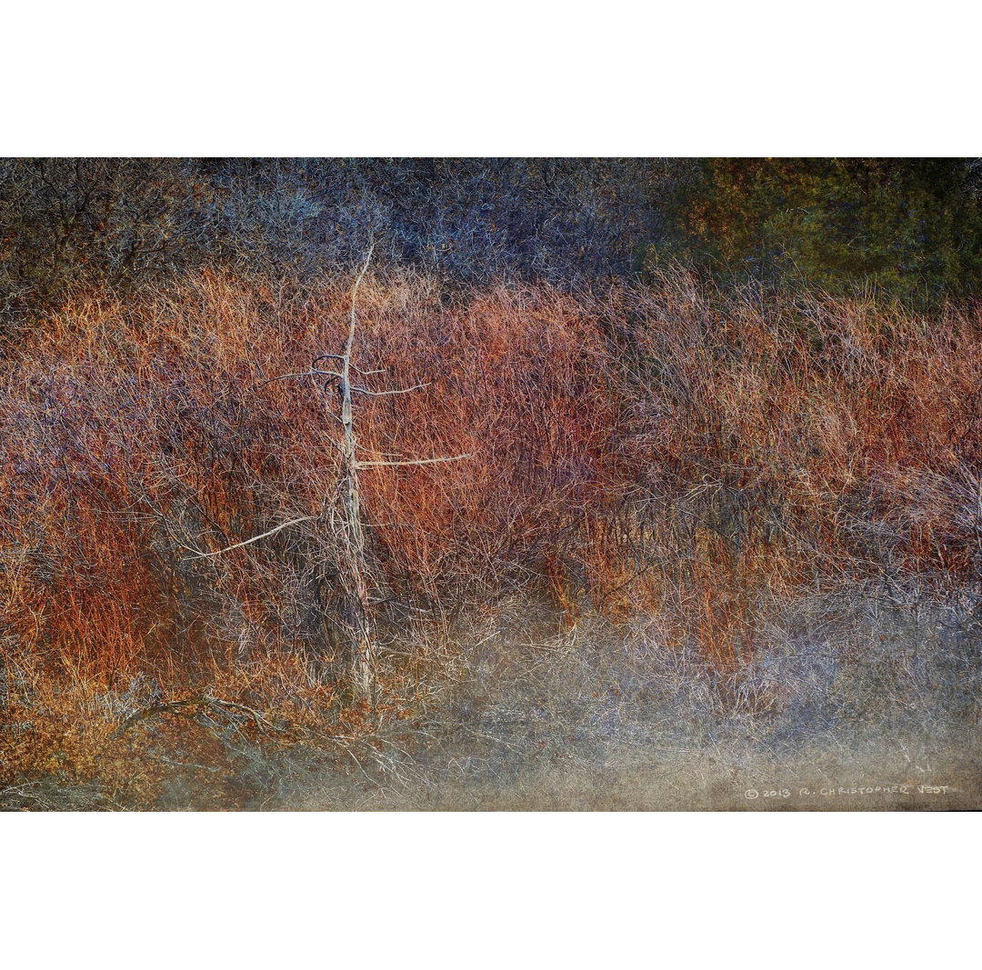 'Grey Green Forest Abstract' Acrylic Painting Print on Wrapped Canvas