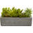 Succulent Garden with Concrete Planter