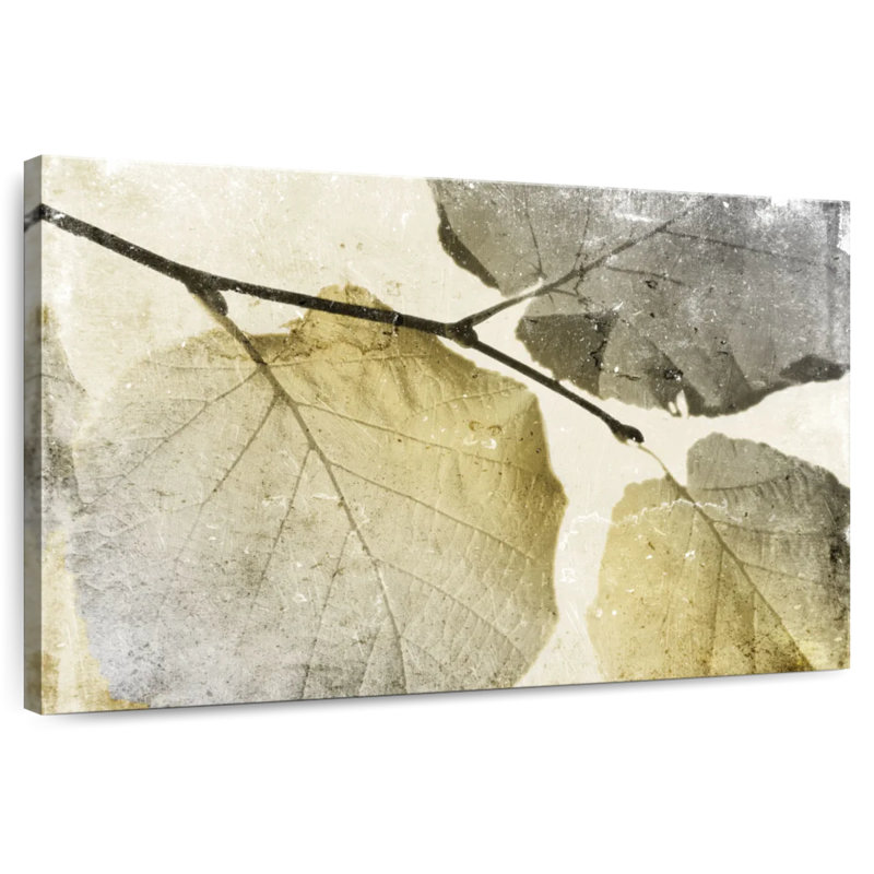Harnek feuilles classiques, H 8 po x l 12 po