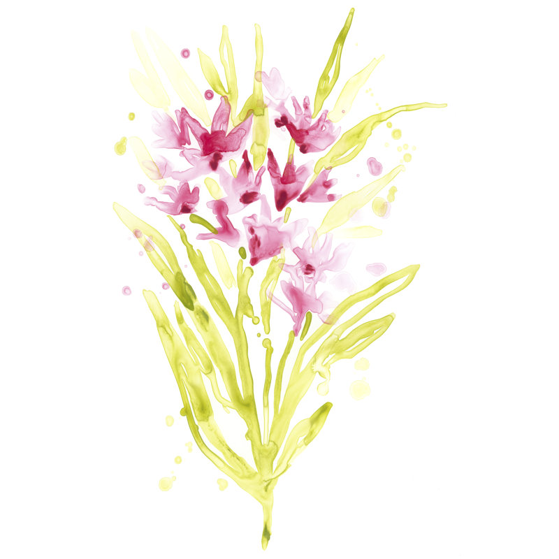 Fuchsia Impulse I by June Erica Vess - Painting, 30cm H x 20cm W, Wrapped Canvas