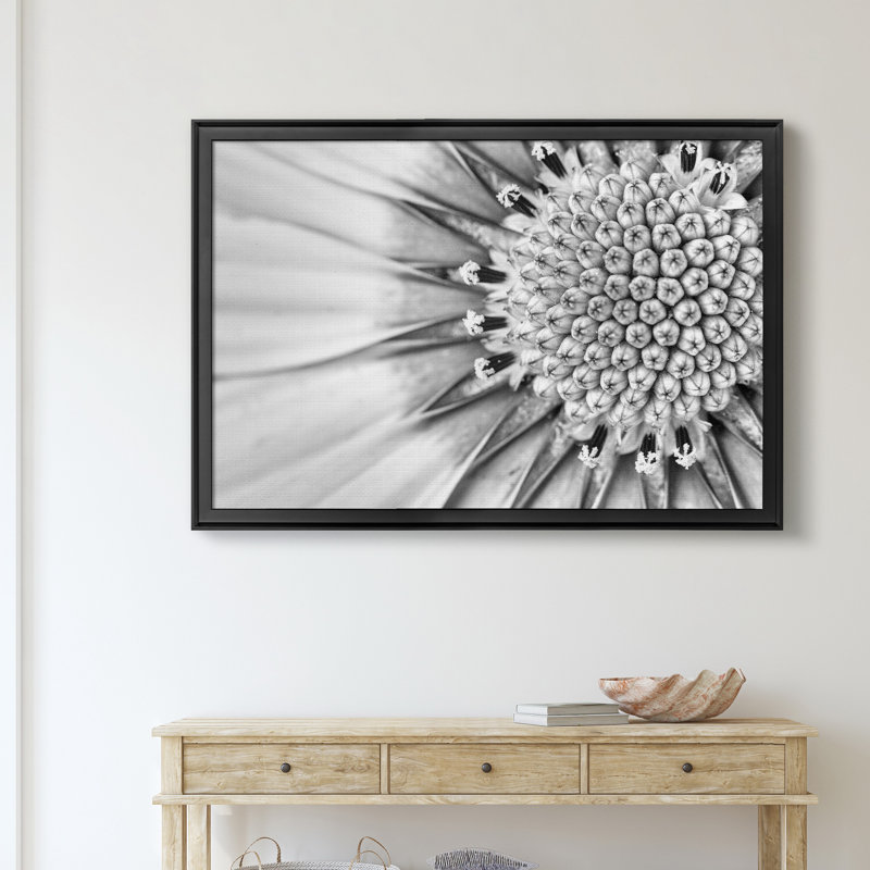 " Quiet Burst II ", 30.5" H x 42.5" W x 1.5" D, Black
