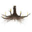 Rustic Lodge 8 - Light Chandelier