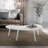 Chandrima Modern Abstract Coffee Table-730016879