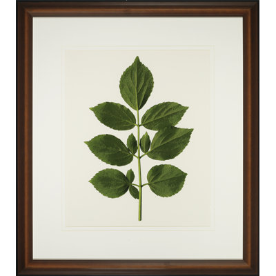 Une petite pièce de la nature II - peinture encadrée