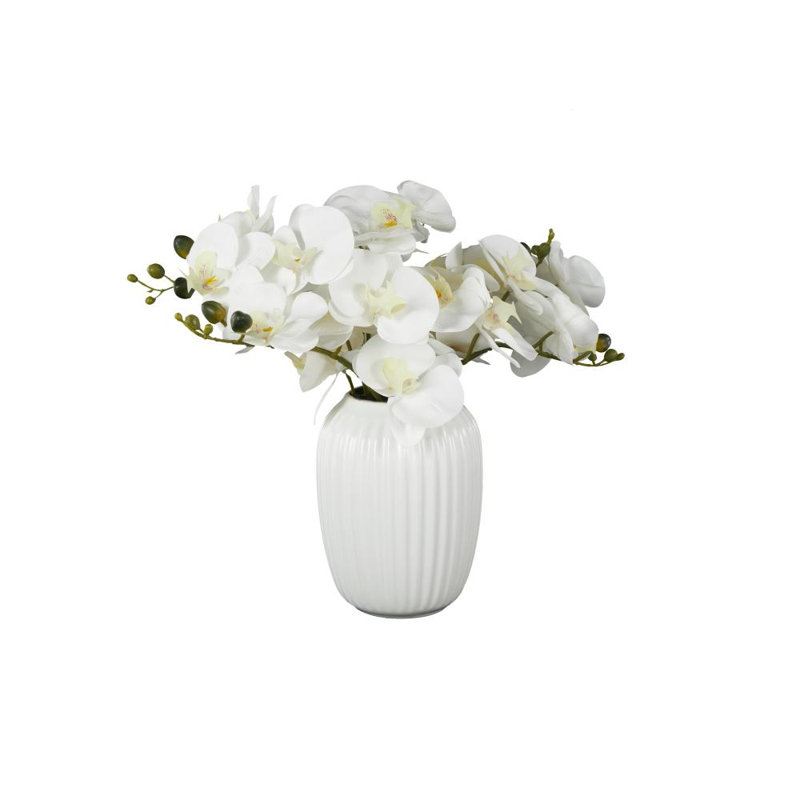 Cole et feuillage naturel en tissu gris avec vignes vertes et vase rond en céramique