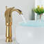 Mono Basin Mixer