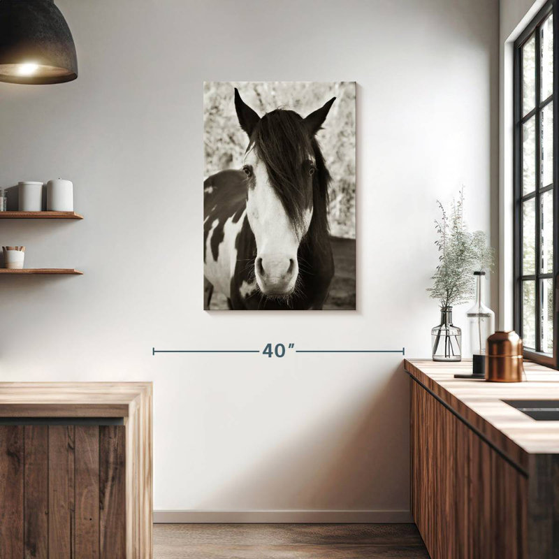 Brampt Pale Eyed Stallion, 36" H x 24" W